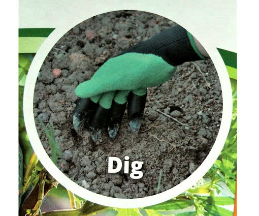 z6592738499661_8443728bbfdfc55fb70e38e91b856107