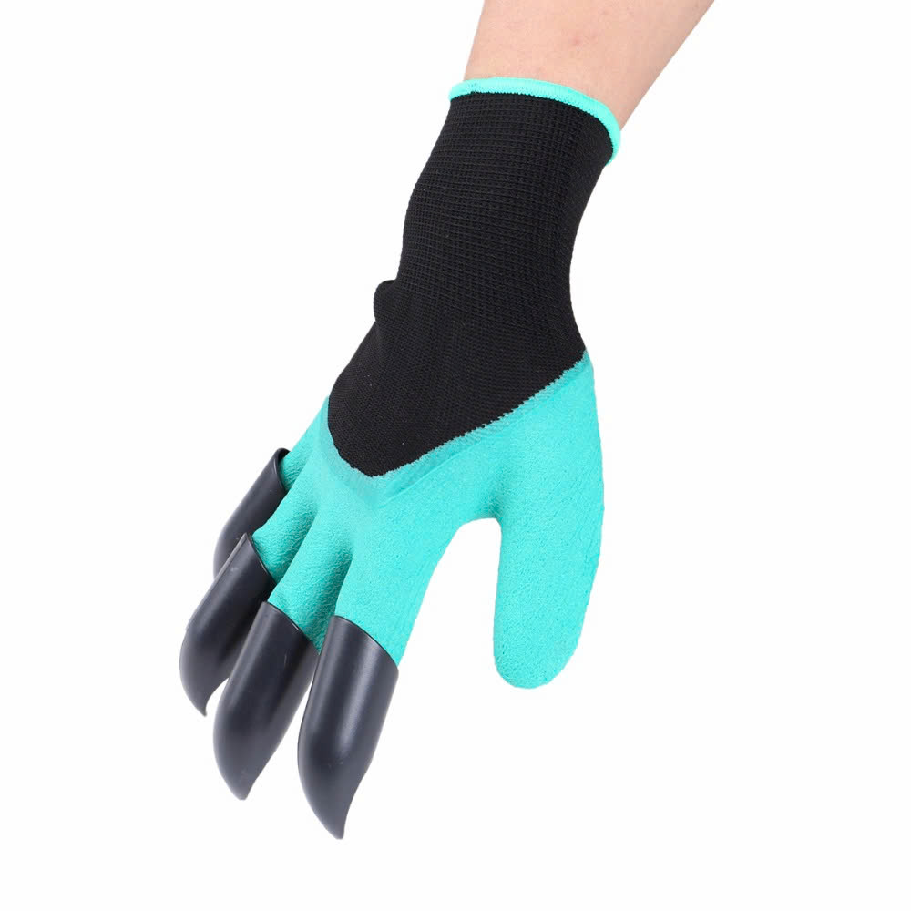 z6592738499671_d098f0d73b28a1403f6d3d250b0694cf