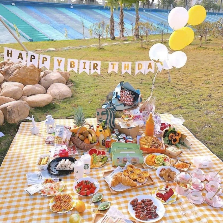 Tấm trải picnic đa chức năng, thảm picnic (V)