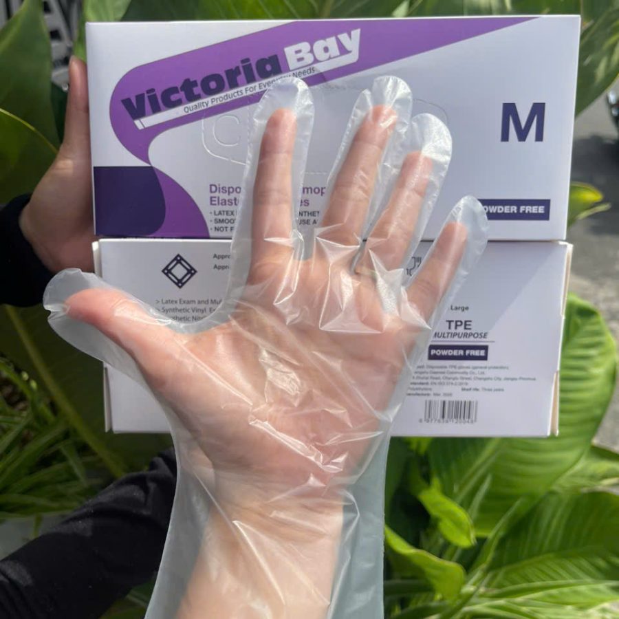 Hộp 100 găng tay Victoria Bay hàng đủ size M (V)